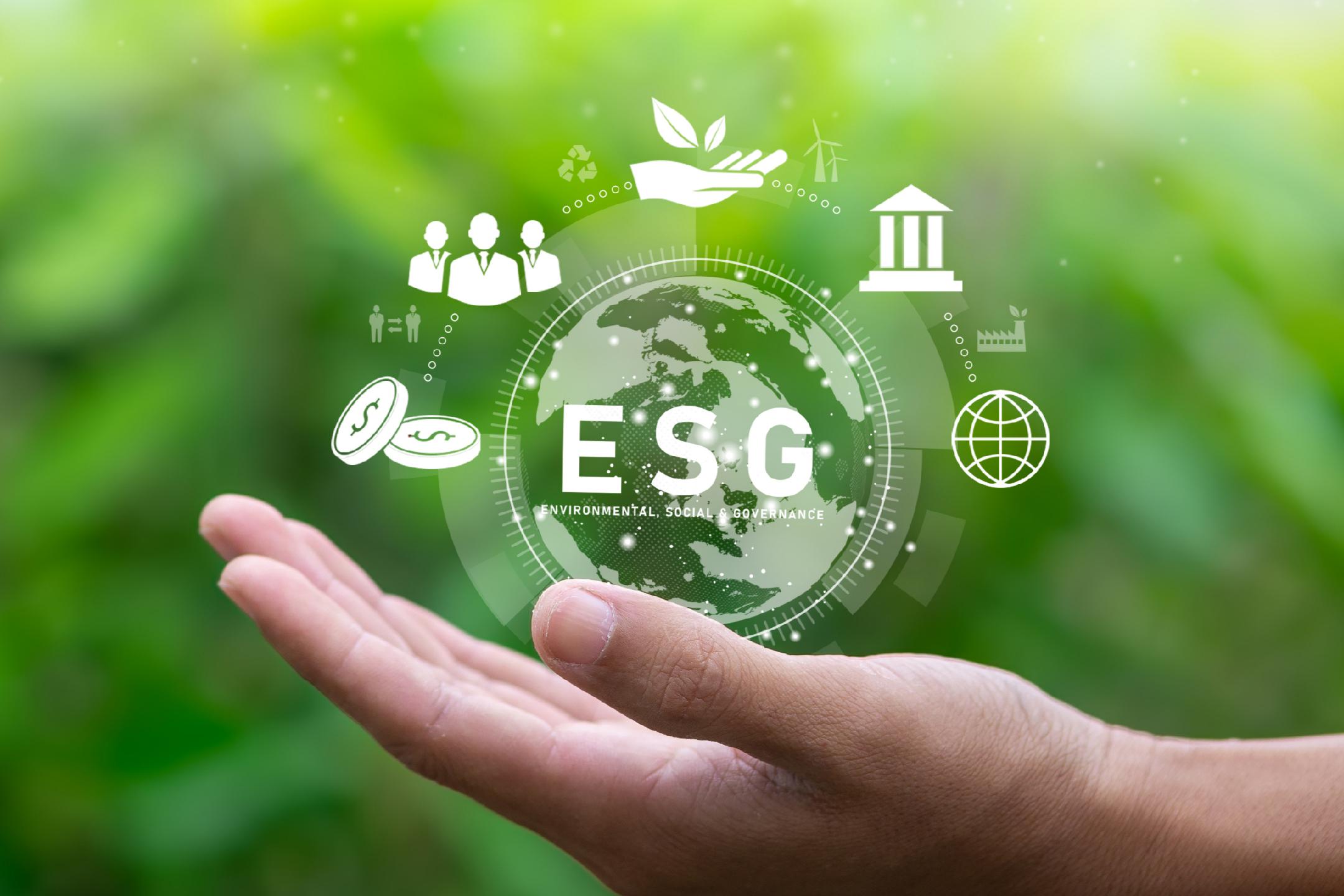 ESG Rating Improvement and Consulting