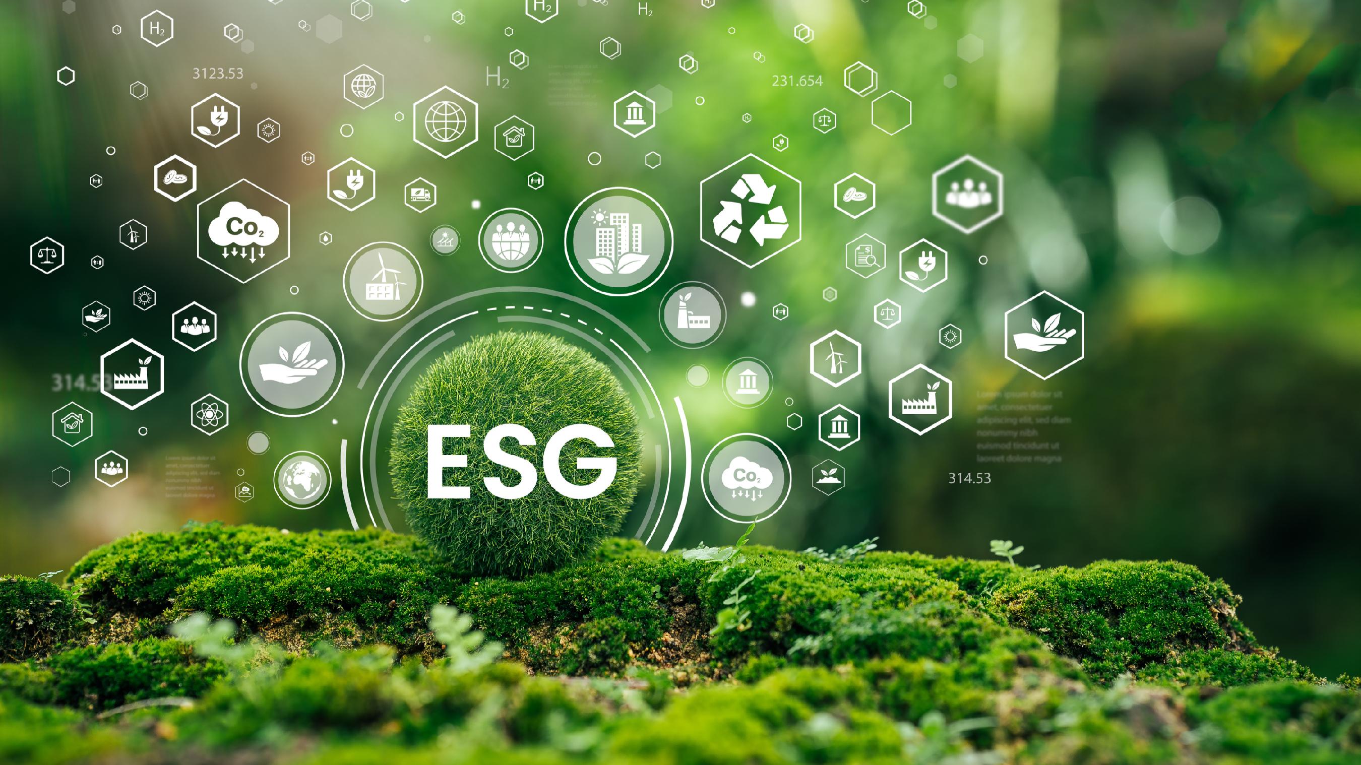 ESG Information Disclosure and Report Preparation