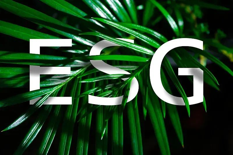 Climate and Carbon Management Services