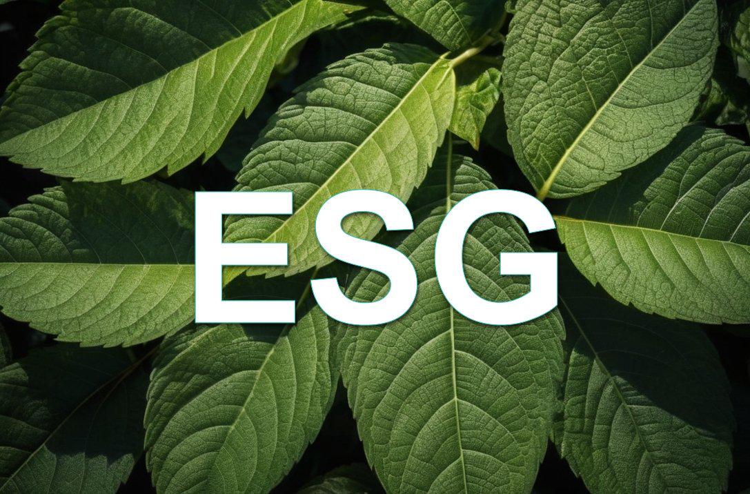 ESG Assurance and Verification