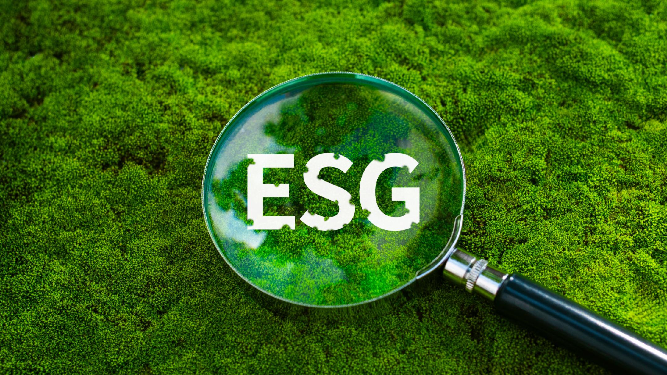 ESG Strategy Planning and Management System Construction