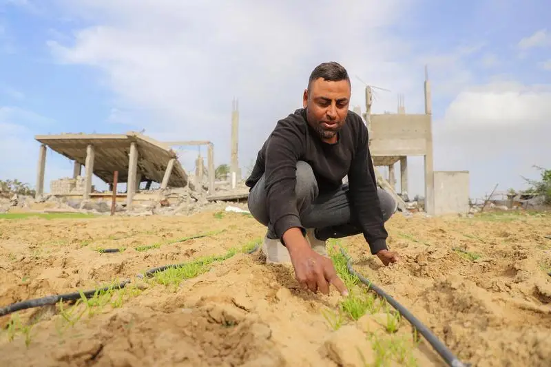 Global Food Crisis Warning Upgraded, Middle East Conflict Pushes Up Food Prices, Many African Countries Face Famine Risks